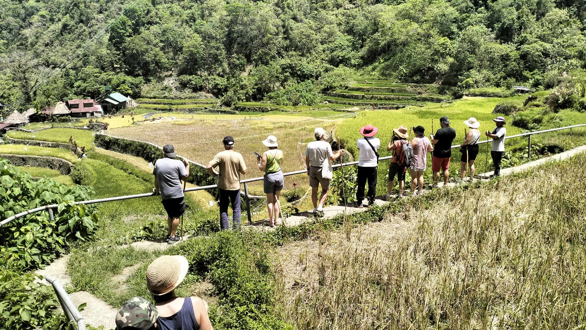 Rizières de Banaue